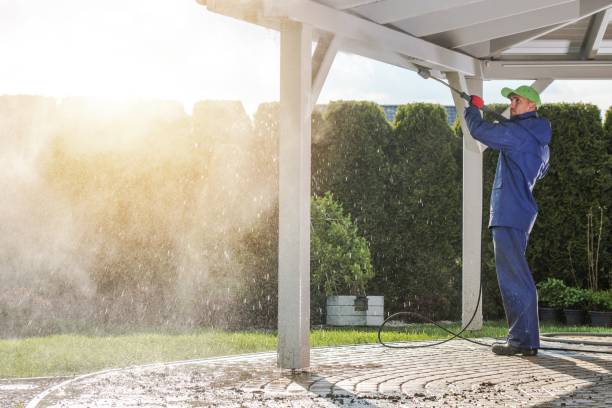 Best Driveway Pressure Washing  in Lodi, CA